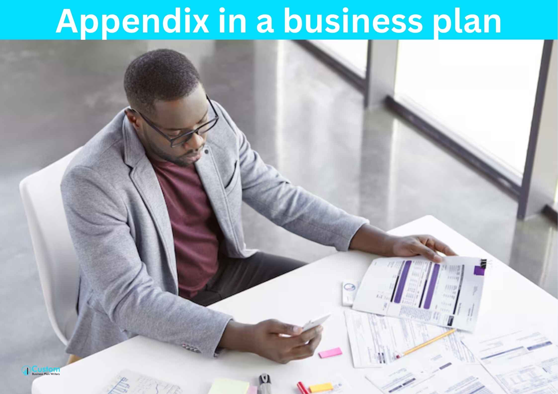 Appendix in a business plan Appendix in a business plan