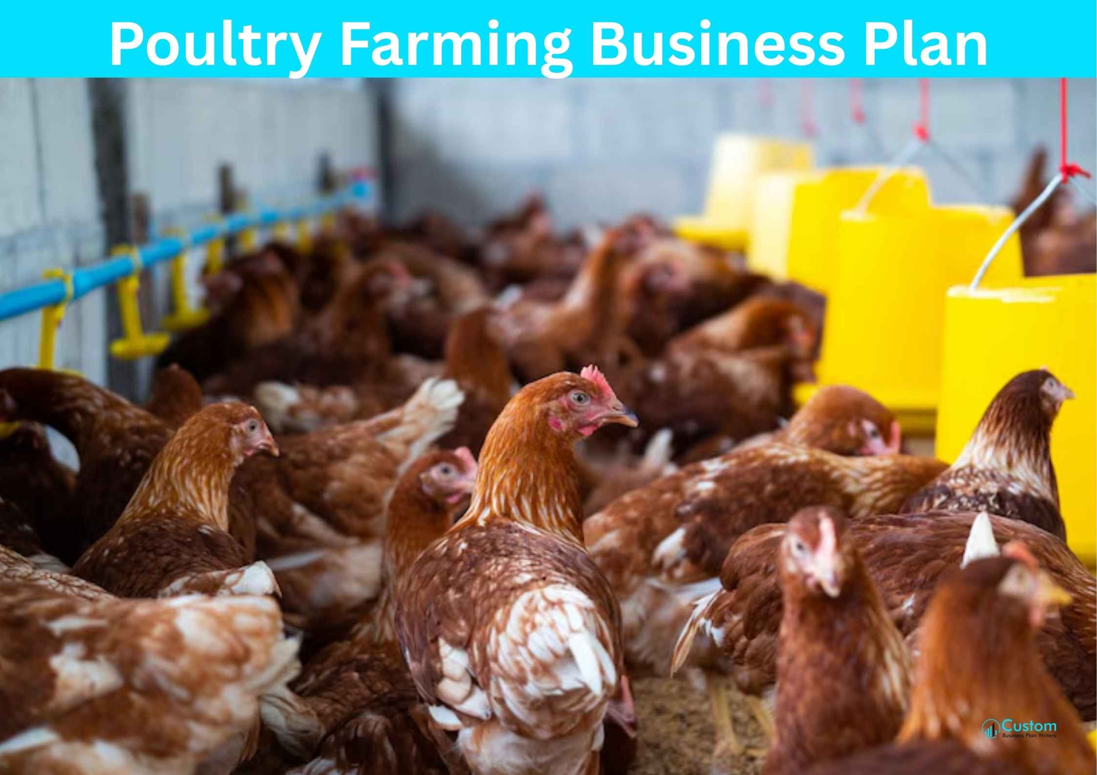 Poultry Farming Business Plan <br />
Poultry Farming Business Plan